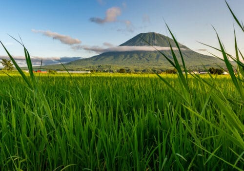 Niseko, Mount Yotei