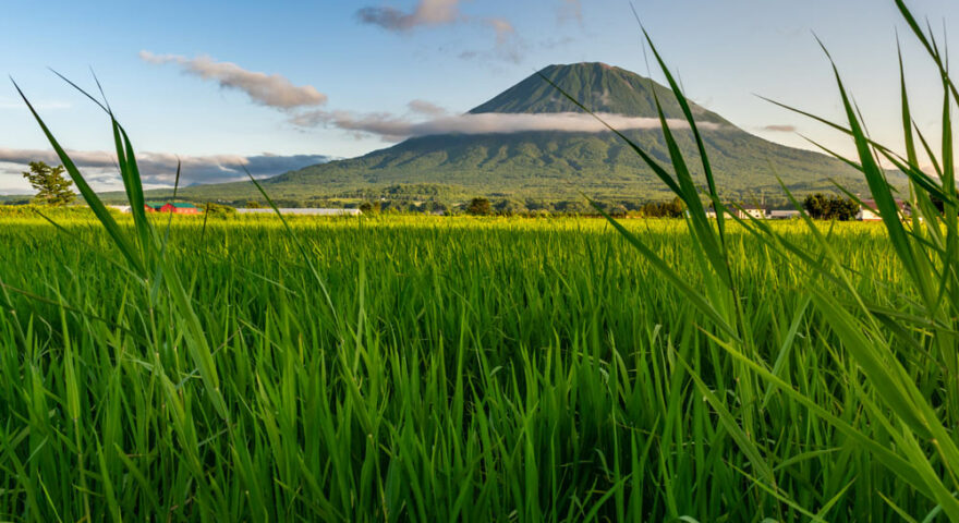 Niseko, Mount Yotei