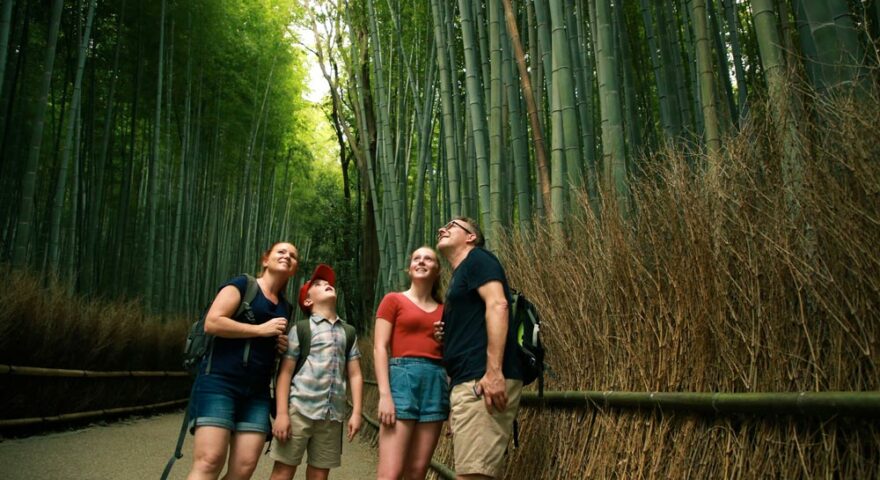 Gezin in het bamboebos van Kyoto