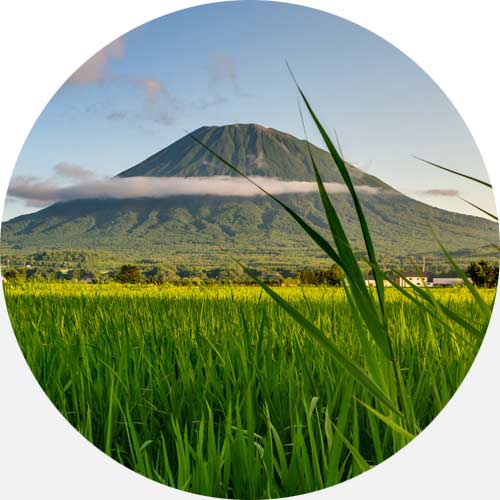 Tips Japanspecialist Natuur